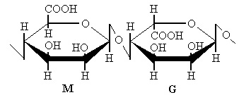 褐藻寡糖（M&G）(图2)