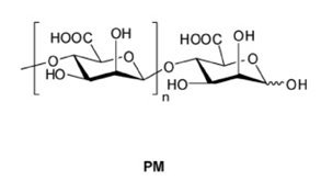 甘露糖醛酸寡糖抗阿尔兹海默症的机制(图1)