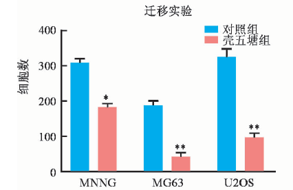 壳五糖对骨肉瘤细胞抗肿瘤作用的研究(图1)