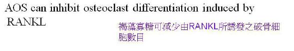 褐藻寡糖对骨骼的保护作用(图3)