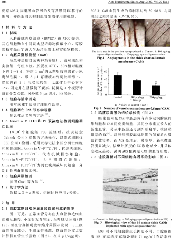 琼胶寡糖抑制血管形成作用的研究(图2)