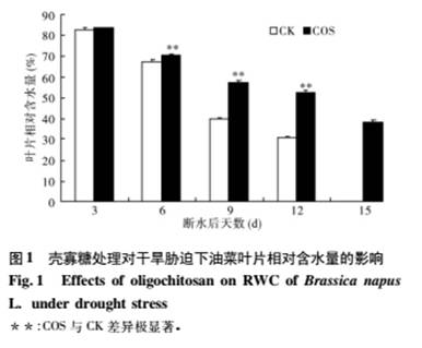 壳寡糖对干旱胁迫下油菜叶相对含水量以及SOD和POD的影响(图1)