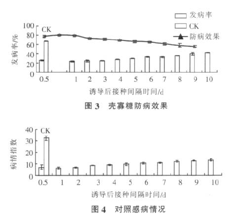 壳寡糖诱导辣椒抗白粉病的初步研究(图5)