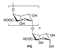 G段古罗糖醛酸寡糖(图2)