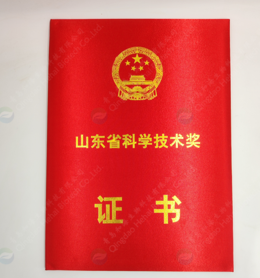 微信图片_20250703152834_副本_副本.png
